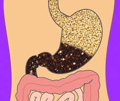 Add 1/2 teaspoon salt or as desired. How Long Different Foods Take To Digest And Why It S Important To Know
