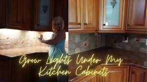 Overhead fixtures and natural light stand in as ambient lighting, illuminating a room overall. How To Use Grow Lights Under Kitchen Cabinets Growing Tropical Youtube