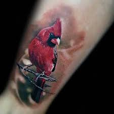 Popular tattoo ideas cardinal tattoo designs. 60 Cardinal Tattoo Designs For Men Bird Ink Ideas