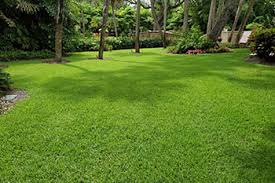 We are experts in vero beach wildlife control. Lawn Care Pest Control Services In Apollo Beach Ruskin Riverview Fl Area S O S Turf Pest