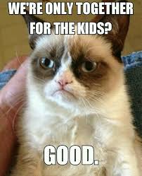 Pin On Grumpy Cat
