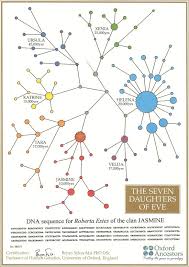 What Is A Haplogroup Dna Genealogy Phylogenetic Tree Mitochondrial Dna