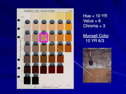 Ppt Delineating Soil Horizons Powerpoint Presentation