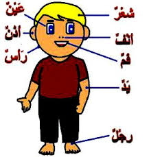 Soal bahasa arab kelas 1 semester 2 tentang angka. Lagu Arab Kanak Anak Paud Tk Sd Mengenal Angka Dan Anggota Tubuh Islam Agamaku