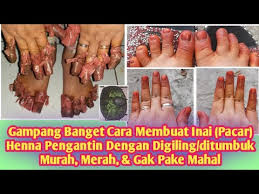 Menurut rosdiana dian, modal membuat inai ini tidak sampai rm3 pun! Cara Membuat Henna Alami Dari Daun Pacar Dan Cara Meraciknya Menjadi Pasta Nikahan Zaman Dulu Ini Youtube