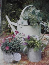 I Ve Been Collecting Old Watering Cans To Do This Cans Collecting Ive Watering In 2020 Pflanzen Garten Garten Deko