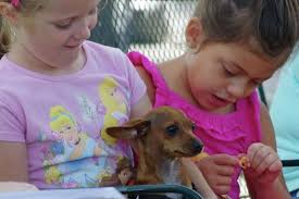 Blessing of the pets, 10.07.13