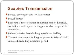 Image result for scabies transmission