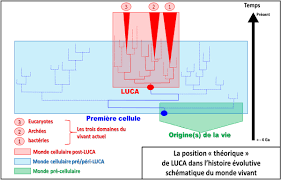 Si un plantage d'ordinateur est déjà bien ennuyeux, il s'agit d'une catastrophe lorsque votre disque dur rend l'âme. Les Extremophiles Dans Leurs Environnements Geologiques Un Nouveau Regard Sur Biodiversite Et Sur La Vie Terrestre Et Extraterrestre Planet Terre