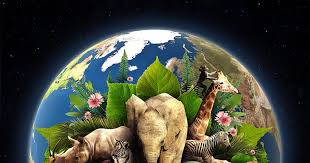 Resultado de imagen para dia de la tierra