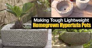 So we decided to make our own! Hypertufa Make Tough Lightweight Homegrown Pots How To