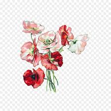 Kostenlose png bilder, cliparts, grafiken, texturen, hintergründe, fotos und psd dateien. Floral Illustrationen Clip Art Floral Design Blumen Blume Png Herunterladen 1280 1280 Kostenlos Transparent Blume Png Herunterladen