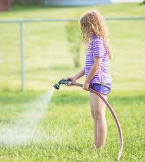 How there are several considerations to make when watering your lawn. Best Time To Water Lawn Watering Your Lawn Tips And Tricks Lawnsavers
