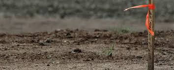 Commercial Real Estate Firm