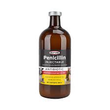Image result for Penicillin