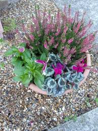 Will perennials survive winter in pots? Winter Pots Autumn Garden Pots Winter Potted Plants Flower Pots Outdoor