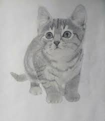 Si vous êtes à la recherche de dessin de lapin, voici un condensé rapide de ce que vous pouvez trouver sur. Mignon Dessin Kawaii Animaux Lapin Novocom Top