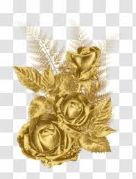 Maybe you would like to learn more about one of these? Flower Gold Rose Png Images Transparent Flower Gold Rose Images