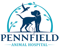 Urban pet hospital is your local veterinarian in san francisco serving all of your needs. Veterinarian Near Me 49017 Pennfield Animal Hospital