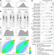 Neuropathological And Transcriptomic Characteristics Of The