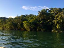 Venta casa en jojutla morelos lote 39 49. El Lago De Tequesquitengo Morelos