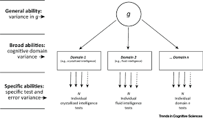 Hierarchical Structure Of General Intelligence At The Level Of Download Scientific Diagram