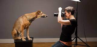 We did not find results for: A Day In The Life Of Pet Portrait Photographer Elke Vogelsang 500px