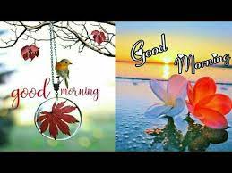 Maybe you would like to learn more about one of these? Beautiful Good Morning Images Youtube Good Morning Images Good Morning Beautiful Good Morning Happy Friday