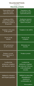Difference Between Transcription And Translation Definition Process Characteristics Compar Transcription And Translation Learn Biology Translation Biology