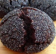 hashasli kurabiye nasil yapilir hashasli islak kurabiye tarifi nedir diye merak ediyorsaniz bu tarifim tam sizlik yiyecek ve icecek bogurtlenli tatli gida