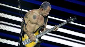 Whether you have a science buff or a harry potter fa. Metallica Quiz Can You Name These 10 Things Only Die Hard Fans Would Know