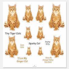Orange Tabby Cat Lg Sticker Set Zazzle Com Orange Tabby Cats Tabby Cat Orange Tabby