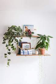 Plant Filled Shelf Styling Ideas Minimalist Living Room Decor Small Apartment Decorating Living Room Home Decor