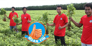 Simak ulasannya lebih lengkap pada blog ini. Kacang Menglembu Kini Di Persada Dunia