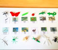 Imagier Les Insectes Et Autres Petites Betes Du Jardin Maison A Insectes Maison A Insecte Insectes Collages De Papier