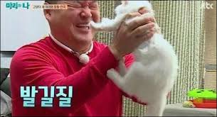 이들이 방문한 집에는 고양이 세 마리가 살고 있었고. ê°•í˜¸ë™ ì–¼êµ´ì— Amp 49968 ì•… ê³ ì–'ì´ì˜ ê¸ê¸° ë³¸ëŠ¥ ì™œ