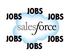 Salesforce Careers Salesforce Administrator Vs Salesforce Developer