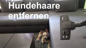 Um hundehaare aus dem auto zu entfernen, schneidest du ein stück paketklebeband ab, klebst es auf das gewebe, und ziehst es wieder ab. Lifehack Hundehaare Aus Auto Teppich Sofa Bezugen Stoff Entfernen Wegbekommen Youtube