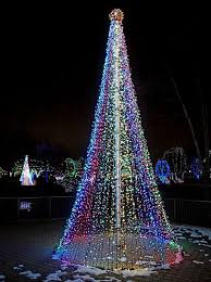 Tree Of Lights Christmas In America Christmas Scenery Christmas In The City