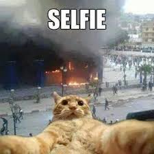 Cat Selfie Fire Department Humor Funny Ads Funny Pictures Funny Cats