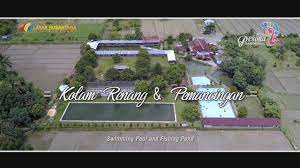 Kolam renang adalah pelengkap yang luar biasa untuk halaman belakang yang besar, adanya kolam renang akan menciptakan waktu bersama keluarga yang sangat baik dan menyediakan sarana olah raga yang sangat menyenangkan! Kolam Renang Batang Sari Pamanukan Deretan Kolam Renang Di Batang Beserta Tiket Masuknya Berenang Adalah Olahraga Yang Sangat Baik Bagi Kesehatan Tubuh Karena Hampir Semua Otot Dan Persendian Bergerak