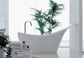 Para usar las plantas ornamentales como decoración en tu hogar debes tener en cuenta el sitio donde las vas a poner y sobre todo las condiciones todos sabemos que la presencia de plantas en el interior de la casa es fundamental. Un Bano Lleno De Plantas Ideas Para Jardines Y Decoracion