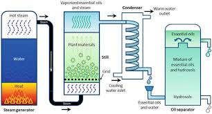 Of this ﬁrst generation of plant the fumigant toxicity of essential. Terpenoids As Important Bioactive Constituents Of Essential Oils Intechopen