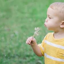 CLEAR SPEECH & LANGUAGE