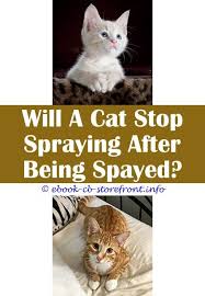 5 Accomplished Cool Tricks Johnsons Cat Flea Pump Spray Review Spray For Cats To Stop Scratching Furniture How Can I Stop My M Sensible Toxoplasmosis