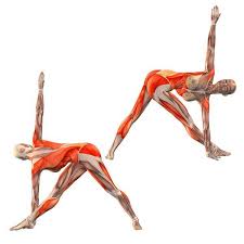 Revolved Triangle Pose Left Arm Behind Right Foot Parivritta Trikonasana Left Yoga Poses Yoga Anatomy Yoga Benefits Yoga Asanas