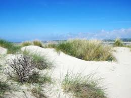 Comment contacter votre caf ? Nord Pas De Calais Former Administrative Region