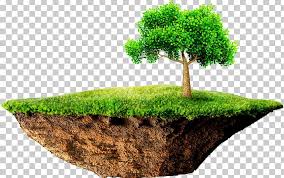 flowerpot island png free flowerpot island png transparent images 72170 pngio pngio com
