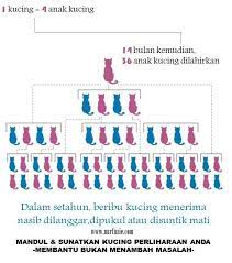 Manfaat daun kumis kucing akan membuat tubuh anda lebih sehat dan mampu mengatasi berbagai dan tidak sedikit orang yang memanfaatkan daun kumis kucing untuk mengobati sakit gijal, mulai. Kenapa Perlu Memandulkan Kucing Eintan Nurfuzie Lifestyle Beauty Travel Tips Rawatan Kucing Review