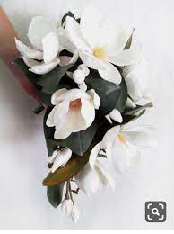 Pin By Marina On Cherepa Beautiful Flowers Magnolia Flower Magnolias Wedding Bouquet